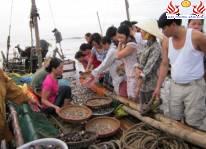 Kinh nghiệm mua hải sản tại Sầm Sơn